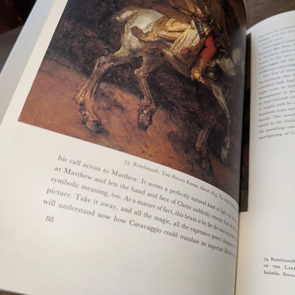 The Story of Painting Janson Hardcover book Coffee Table